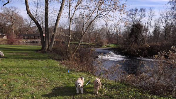 Bethel Bark Park photo 2